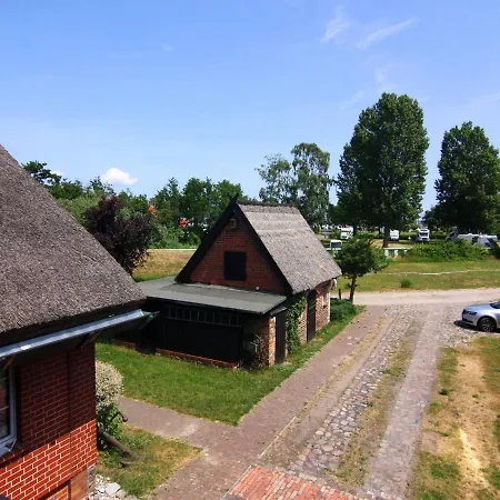 Strandanker In Daire *