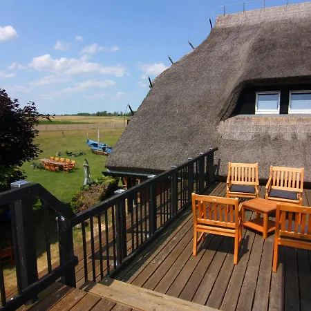 Strandanker In Mönkebude